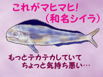 blog217.jpg